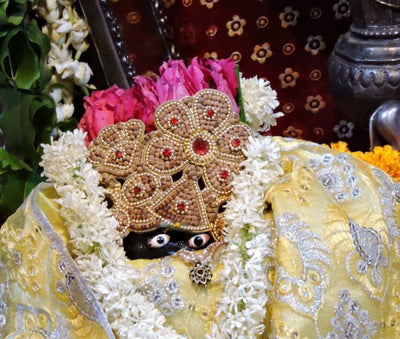 Puja of Shaligram