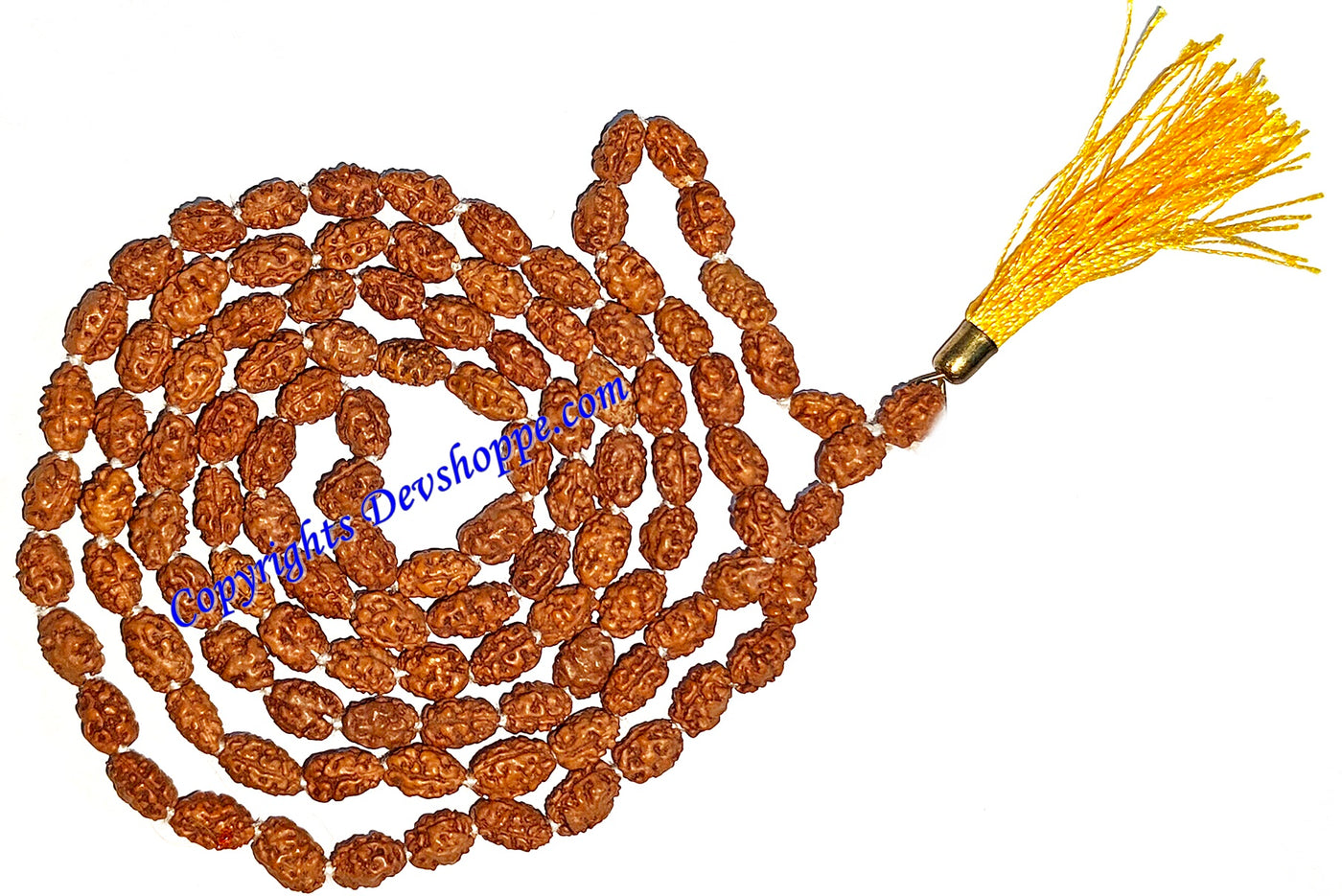 Two faced Rudraksha mala of Javanese origin