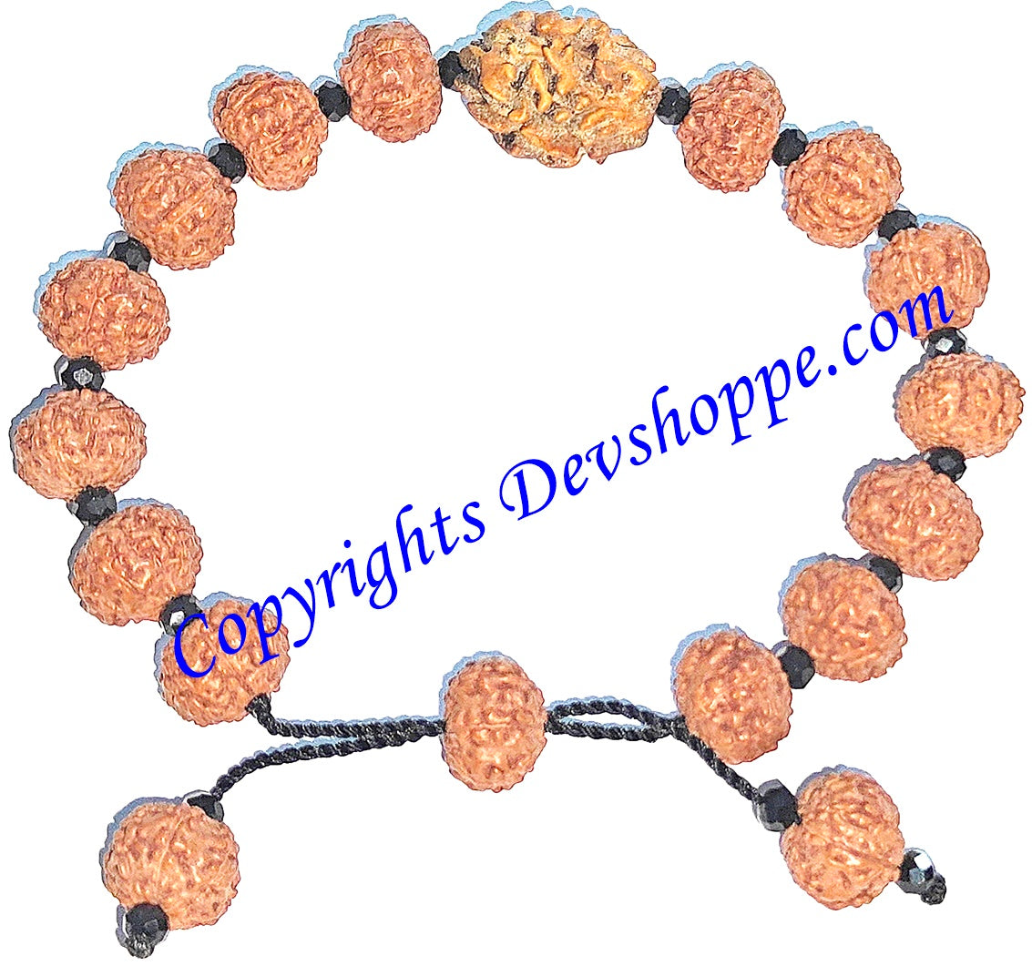 Rudraksha 7 mukhi and 2 mukhi Rudraksha combination bracelet with glass spacers