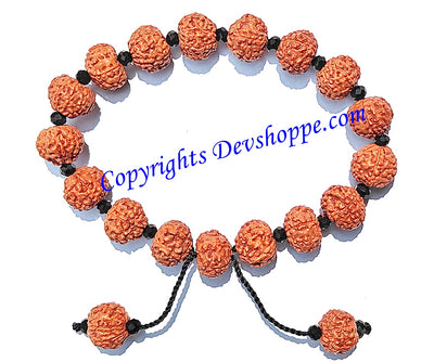 Rudraksha 7 mukhi bracelet with glass spacers