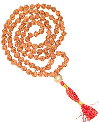 Beautiful Rudraksha Mala with Parad sumeru bead