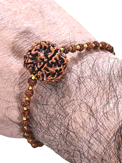 Rudraksha Seven faced bracelet with small Five faced beads