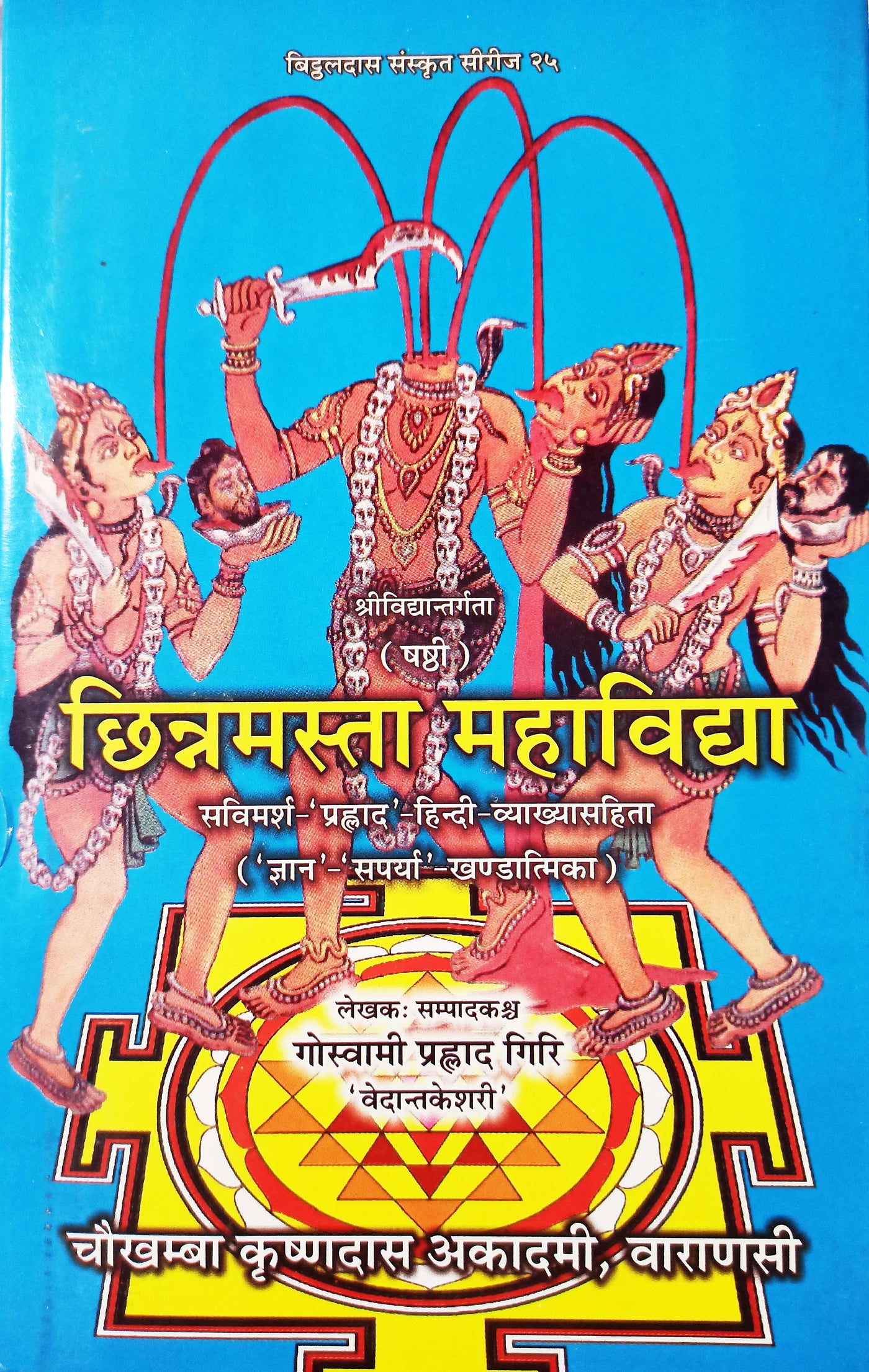 Chinnamasta Mahavidhya book ( छिन्नमस्ता महाविद्या: ) - Devshoppe