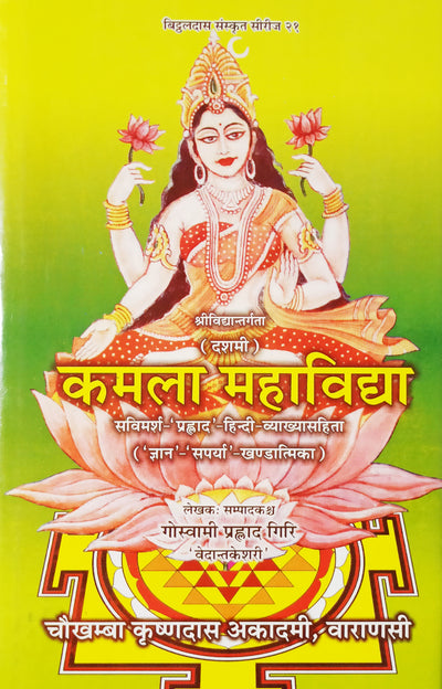 Das Mahavidya book set (दस महाविद्द्या) hindi and sanskrit - Devshoppe