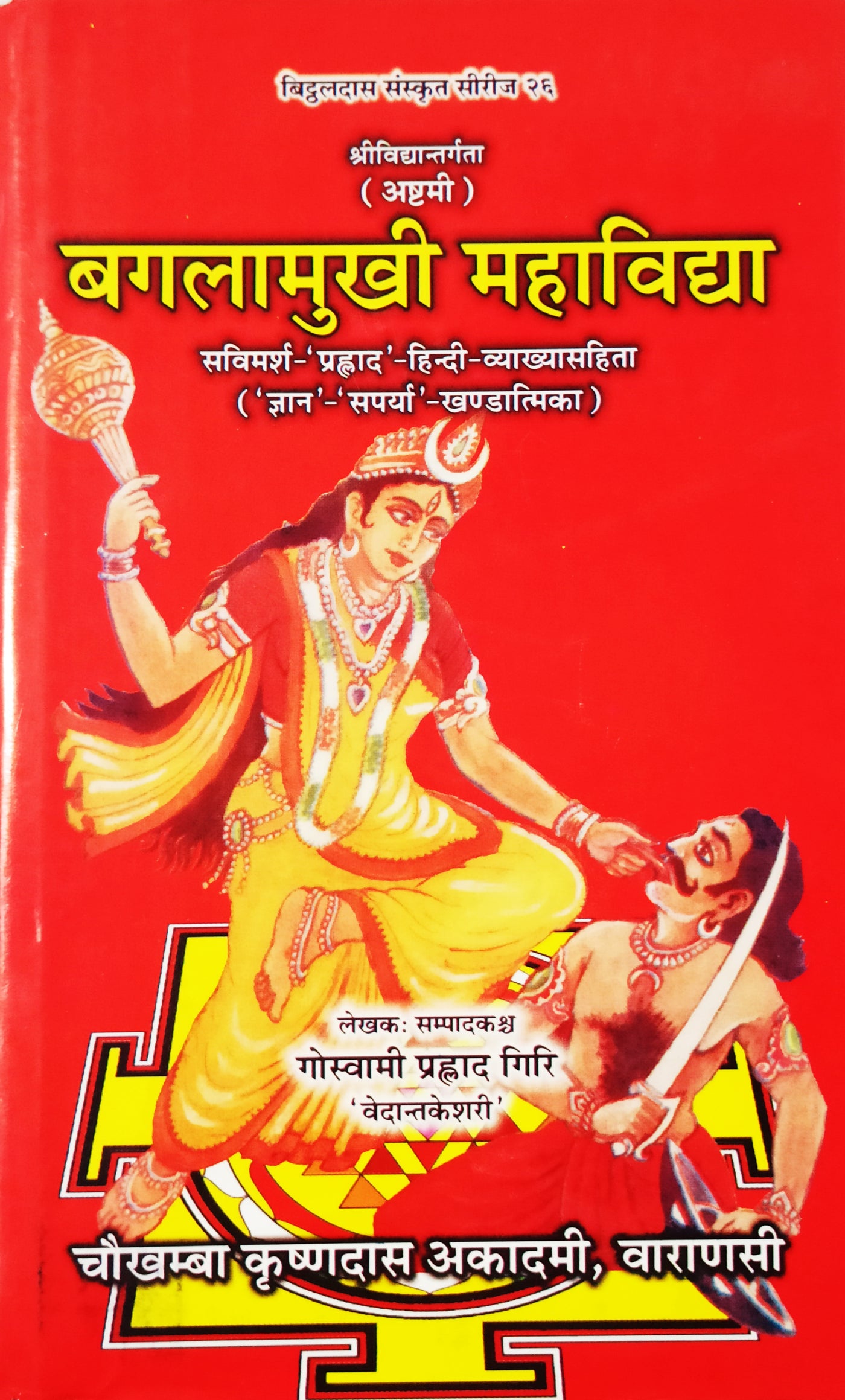 Das Mahavidya book set (दस महाविद्द्या) hindi and sanskrit - Devshoppe