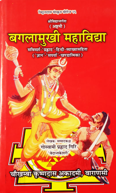 Das Mahavidya book set (दस महाविद्द्या) hindi and sanskrit - Devshoppe