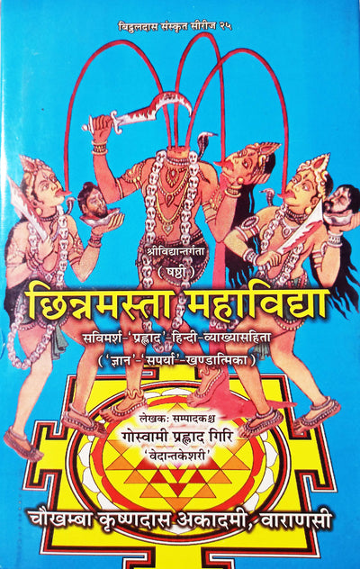 Das Mahavidya book set (दस महाविद्द्या) hindi and sanskrit - Devshoppe