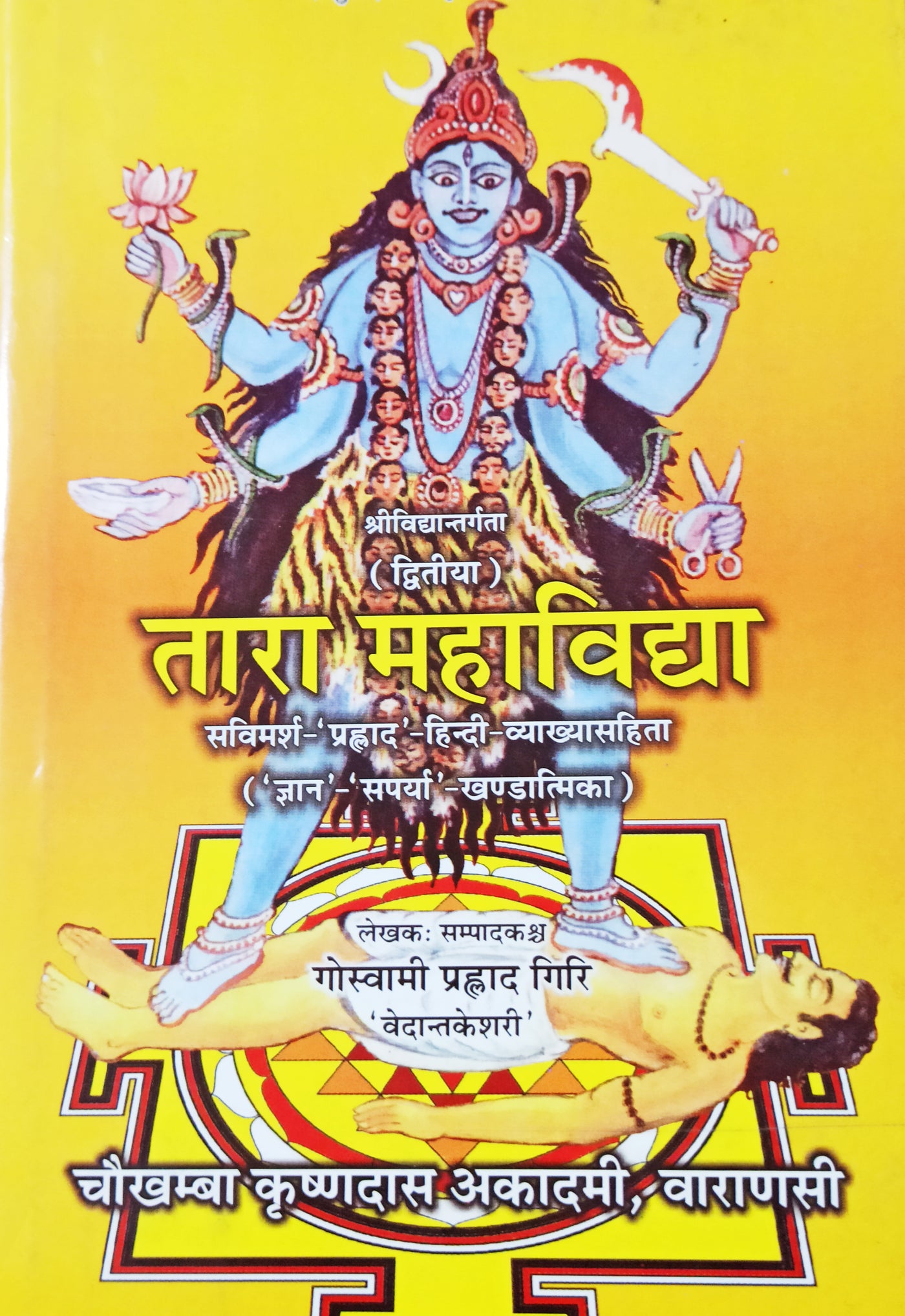 Das Mahavidya book set (दस महाविद्द्या) hindi and sanskrit - Devshoppe