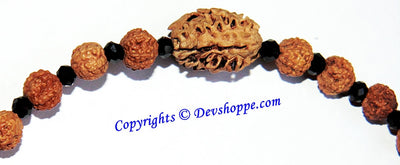 Rudraksha 7 mukhi and 2 mukhi Rudraksha combination bracelet with glass spacers - Devshoppe