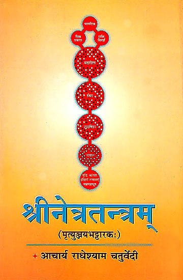 Srinetratantram (Mrtyunjayabhattarakah) With the Commentary Netrodyota by Acharya Sri Ksemaraja and Jnanavati Hindi Commentary - Devshoppe