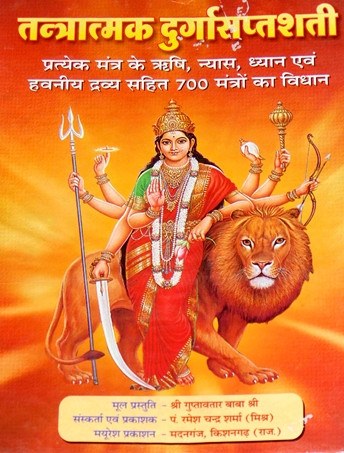 Tantratmak Durga Saptashati - Hindi Book - Devshoppe