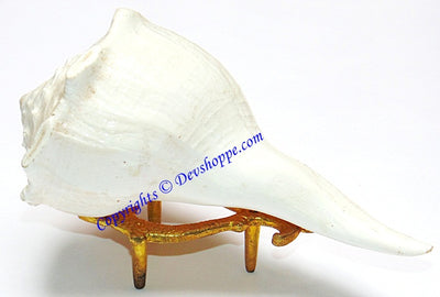 Brass Conch stand ( Sangu Stand , Shankh stand) - Devshoppe