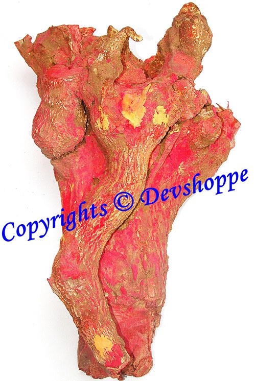 Swayambhu Swetark Ganpati ( Aakda Ganesha) - Naturally formed Swetark Ganpati - Devshoppe