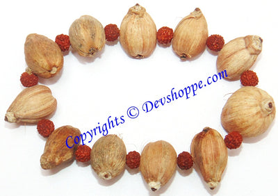 Laghu nariyal bracelet for prosperity and wealth - Devshoppe