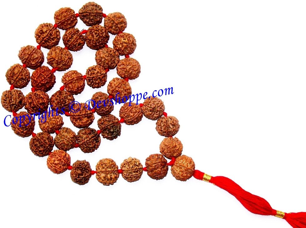 Rudraksha six faced (6 mukhi) rudraksha mala - Premium Quality - Devshoppe