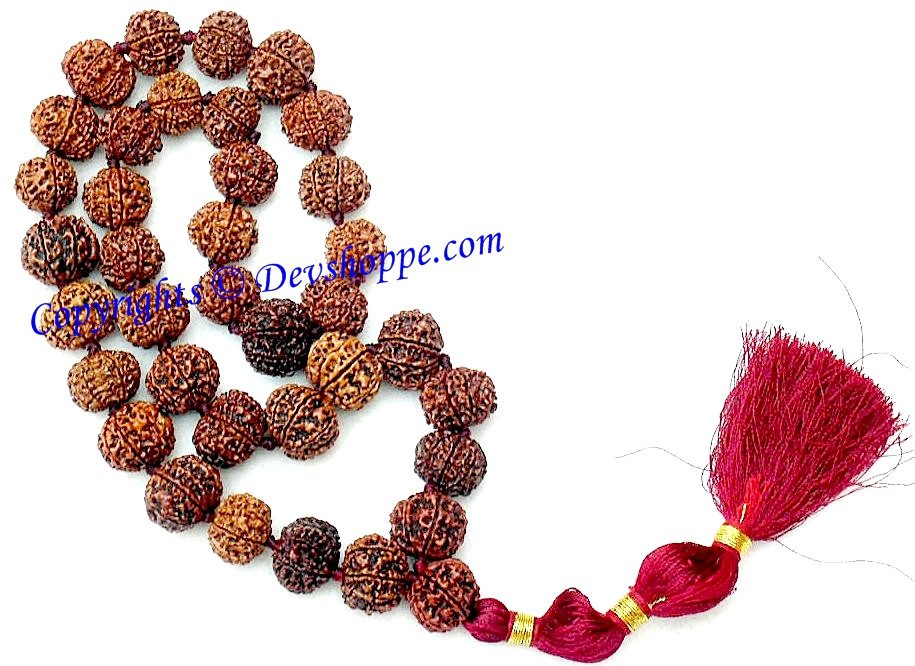 7 mukhi (Seven faced) rudraksha mala ordinary quality - Devshoppe