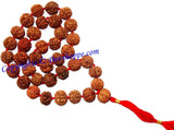 Rudraksha six faced (6 mukhi) rudraksha mala of 36+1 beads - Ordinary quality - Devshoppe