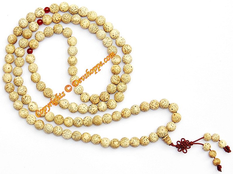 Tibetan Buddhist Xing-Yue (Xingyue) Bodhi Seed Prayer Beads Necklace Mala - Devshoppe