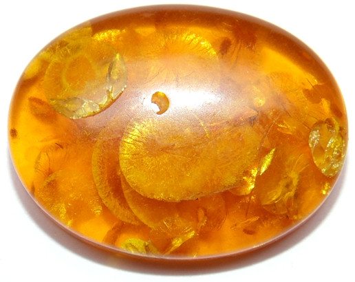 33.70 Cts. Lab Certified Natural Golden Honey Baltic Amber Cabochon - Devshoppe