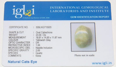 IGLI certified Natural Yellowish Grey Cat's eye (Lehsunia) 23.56 carats - Devshoppe