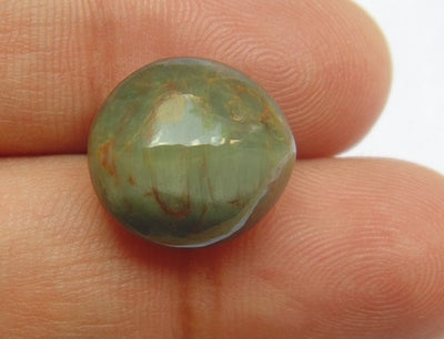 Lab Certified Natural Cat's eye gemstone (Lehsunia) 18.39 Carat - Devshoppe