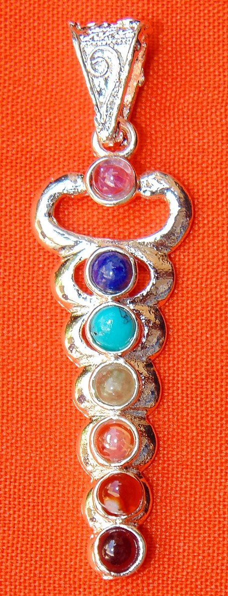 Chakra Celtic snake pendant in German silver - Devshoppe