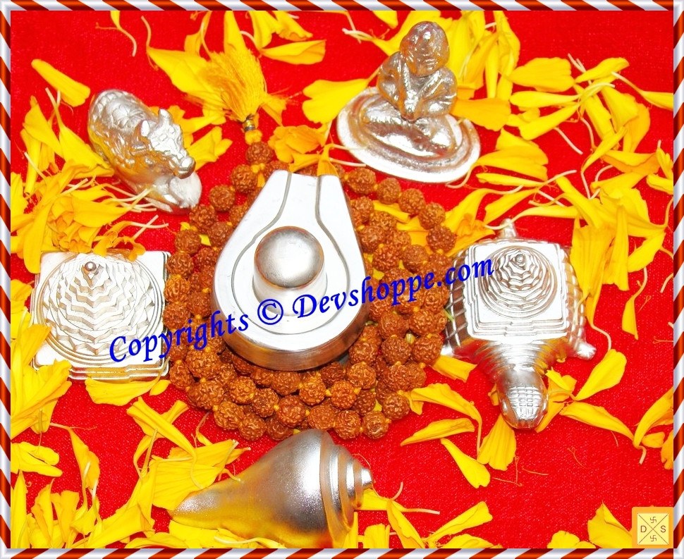 Combo deal 5 - Parad Shivlinga + Parad Sriyantra + Parad Shankha + Parad Nandi + Parad Meru  + Parad Parvati + Free Rudraksha mala - Devshoppe