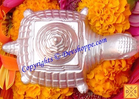 Parad Meru yantra on tortoise for wealth and prosperity - Devshoppe