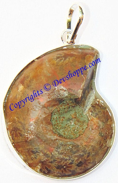 Beautiful Ammonite pendant in white metal - Devshoppe