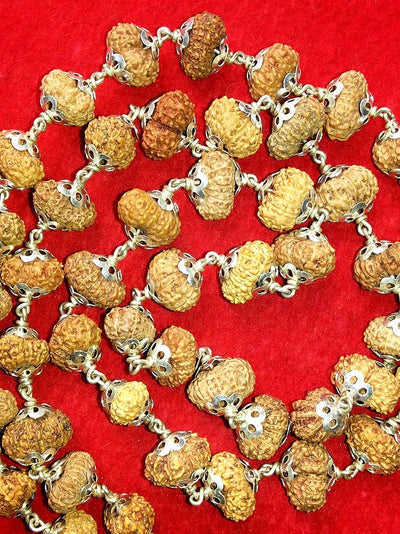 14 Mukhi Javanese Rudraksha Mala / Mahabali Hanuman Mala - Devshoppe