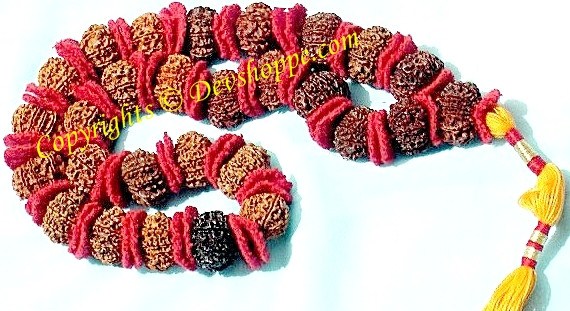 9 Mukhi (Durga) Rudraksha Mala - All Nine Faced Rudraksha Beads - Devshoppe