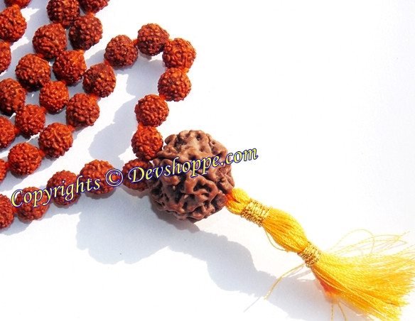 Rudraksha five faced ( 5 mukhi ) ravadhar mala with large Seven faced Sumeru bead (Guru bead) - Devshoppe