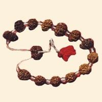 Rudraksha Siddhar Mala 2-14 Mukhi Beads + Gauri Shankar Rudraksha ~ Lab Certified beads - Devshoppe