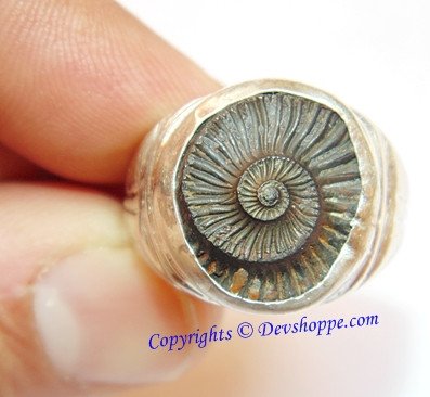 Sri Shaligram ( Salagram) Sudarshan Shila silver ring - Devshoppe