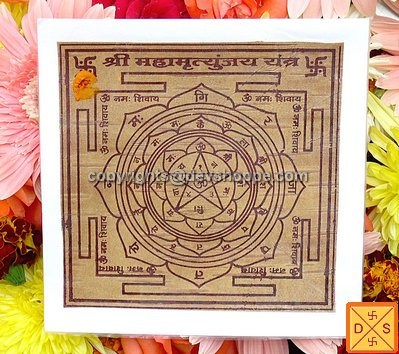 Sri Maha Mrityunjaya yantra on bhojpatra - Devshoppe